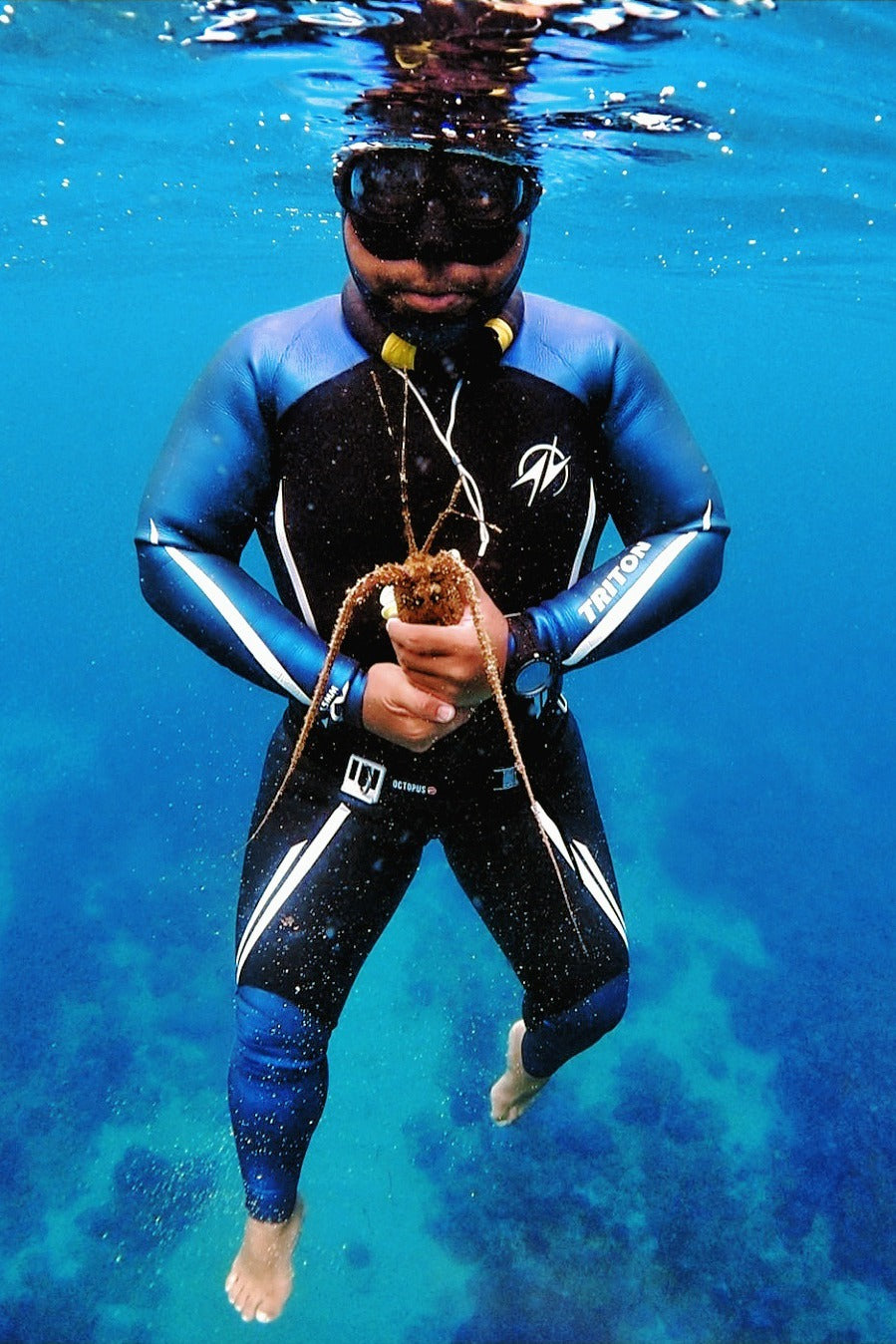 1.5MM WETSUIT TRITON SCS / LYCRA